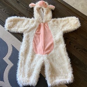 Adorable Pink and Cream Kids Costume